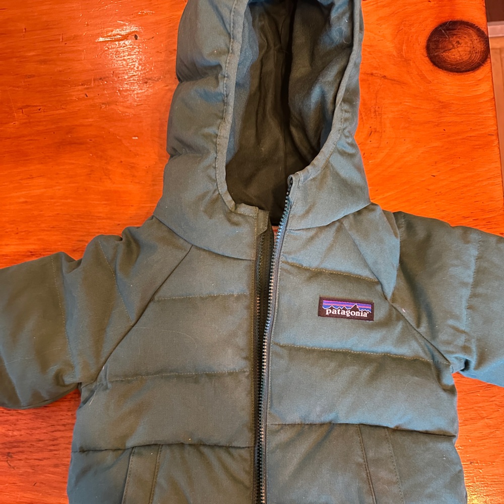 Patagonia Kids Puffer Jacket - Forest Green - Picture 2 of 5